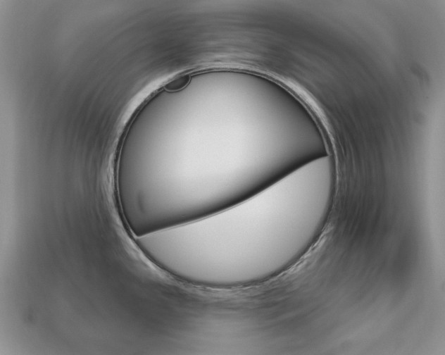 X0000113741341200909230938