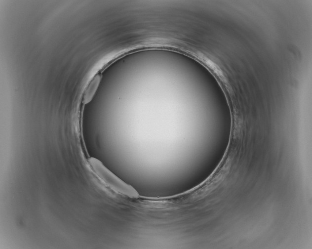 X0000113741342200909230938