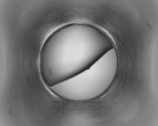 X0000113741343200909230938