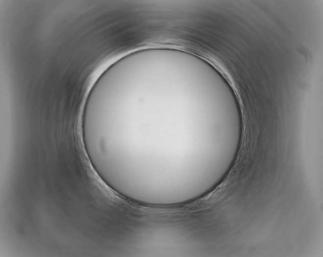 X0000113741344200909230938