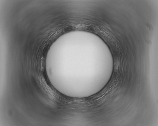X0000113741346200909230937