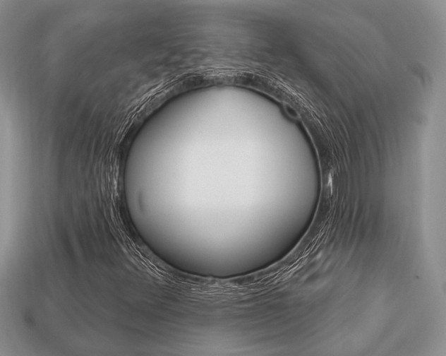 X0000113741348200909230937