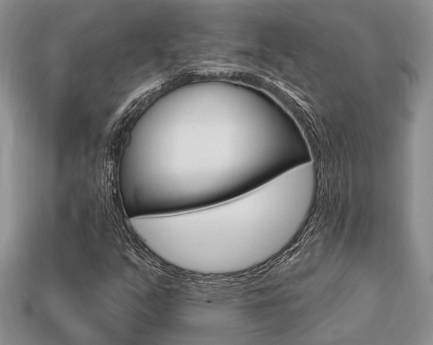 X0000113741351200909230937