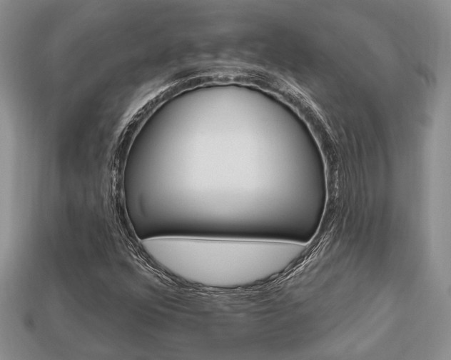 X0000113741352200909230937