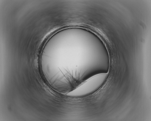 X0000113741356200909230937