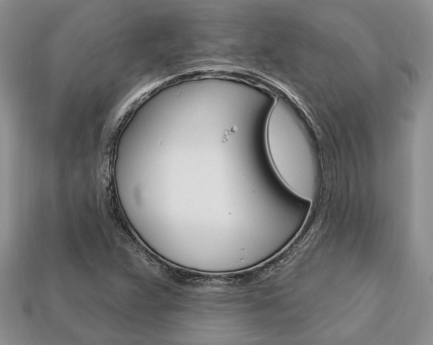 X0000113741359200909230937