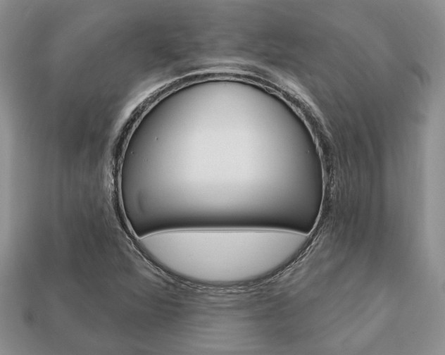 X0000113741360200909230937