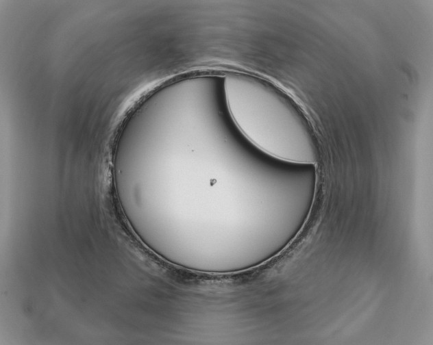 X0000113741363200909230937