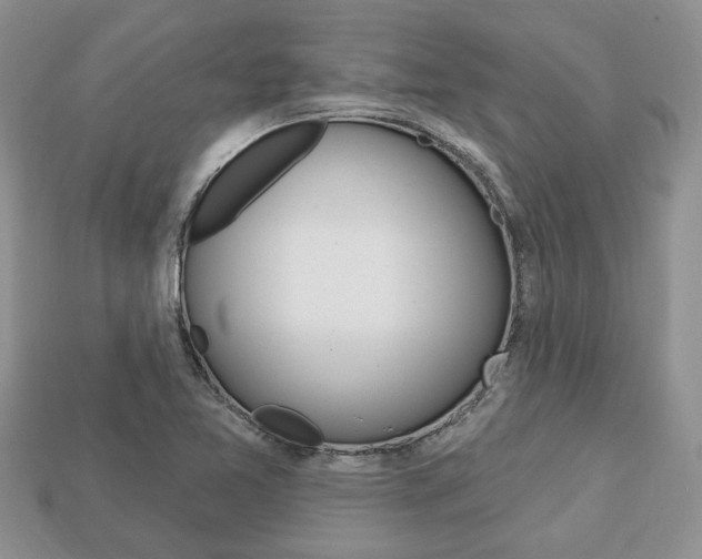 X0000113741365200909230937