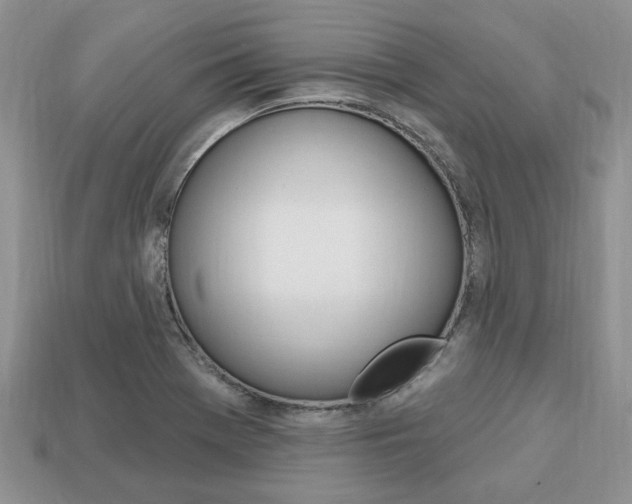 X0000113741369200909230937