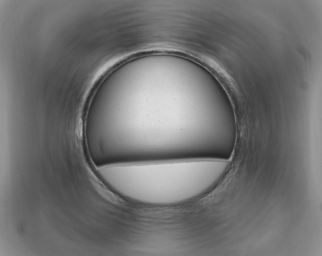 X0000113741372200909230937
