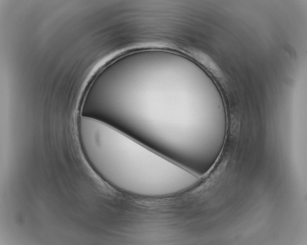 X0000113741380200909230937