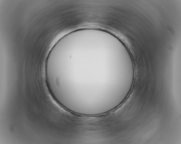 X0000113741382200909230937