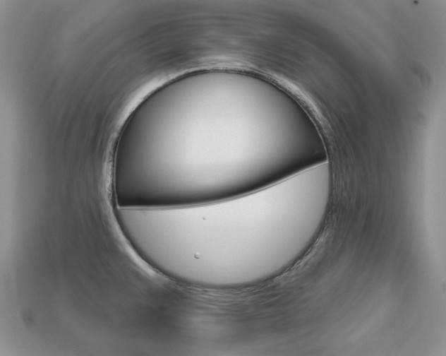 X0000113741383200909230937
