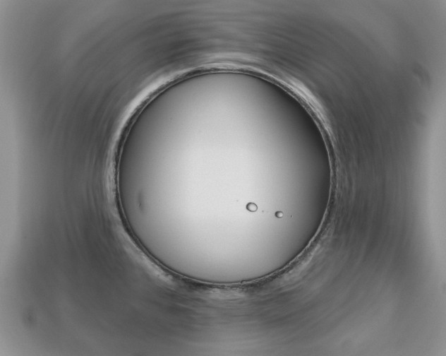 X0000113741384200909230937