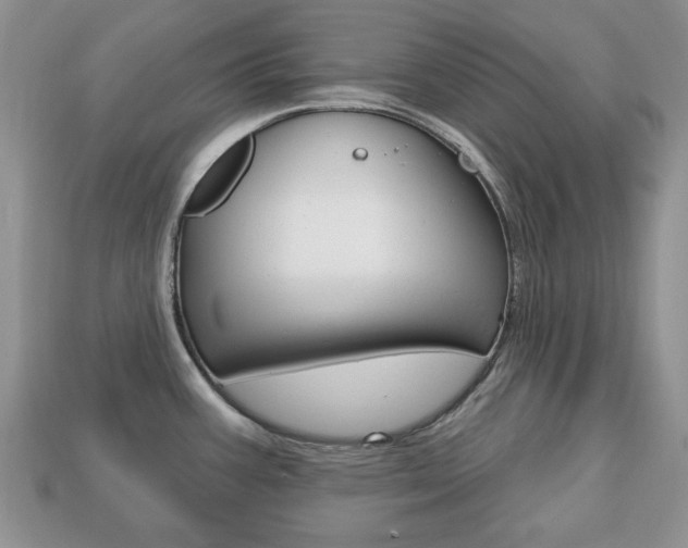 X0000113741387200909230937