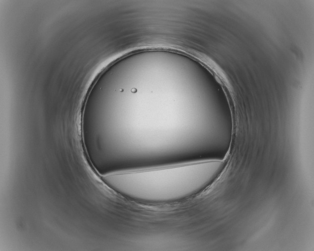 X0000113741388200909230937