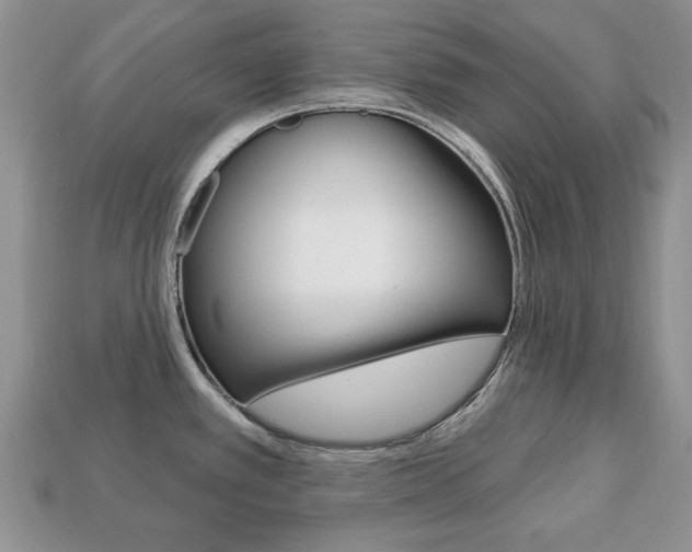 X0000113741389200909230937