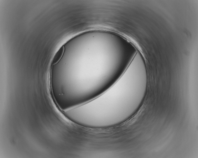 X0000113741391200909230937
