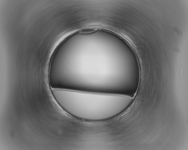 X0000113741392200909230937
