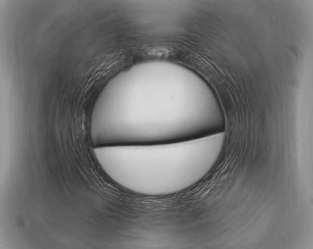 X0000113741394200909230936