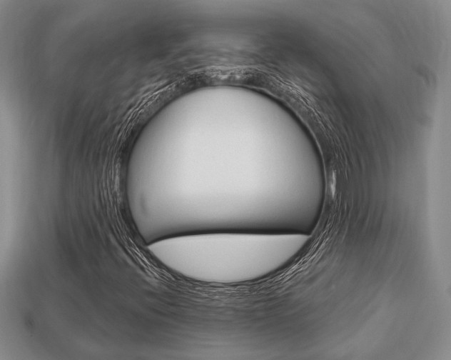 X0000113741396200909230936