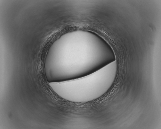 X0000113741398200909230936