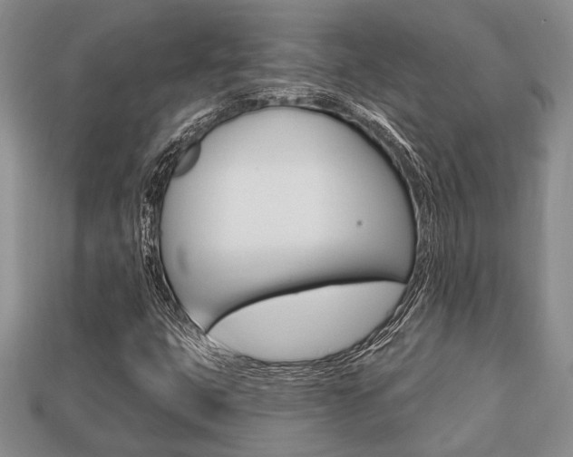 X0000113741399200909230936