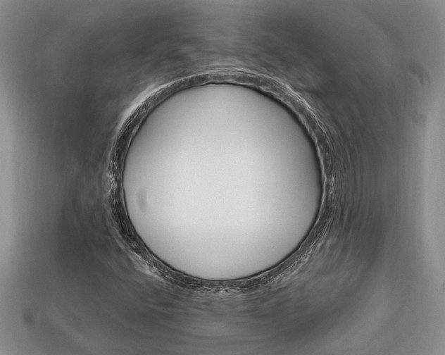 X0000113741400200909230936