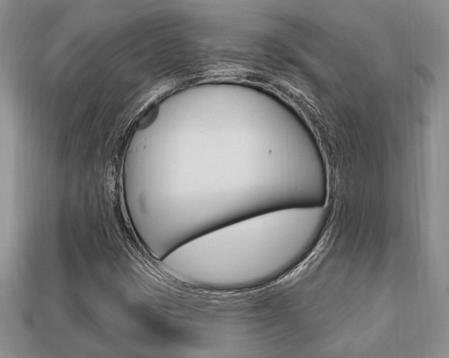 X0000113741401200909230936