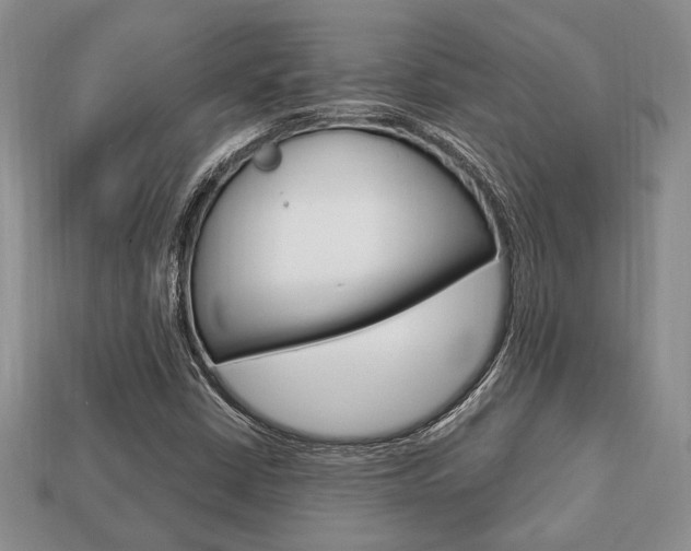 X0000113741402200909230936