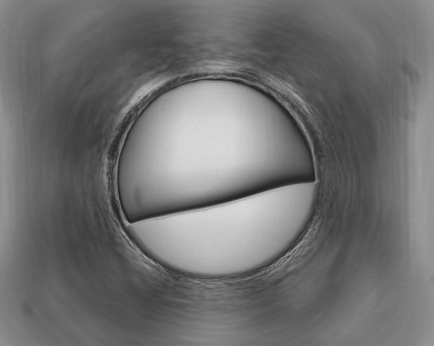 X0000113741404200909230936