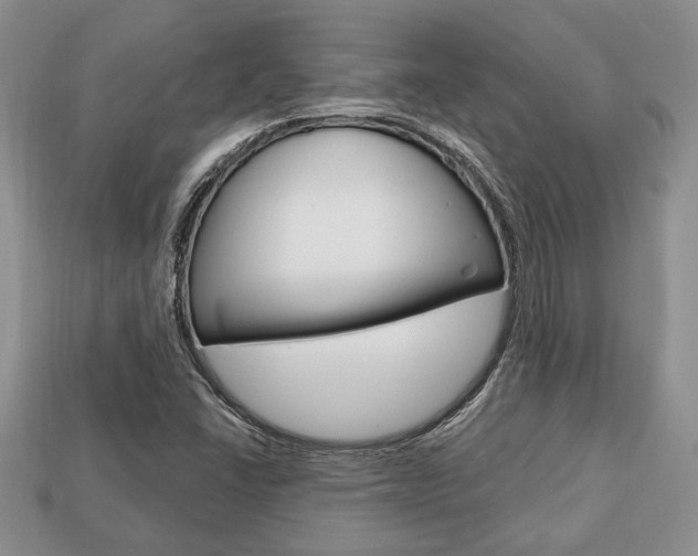 X0000113741406200909230936