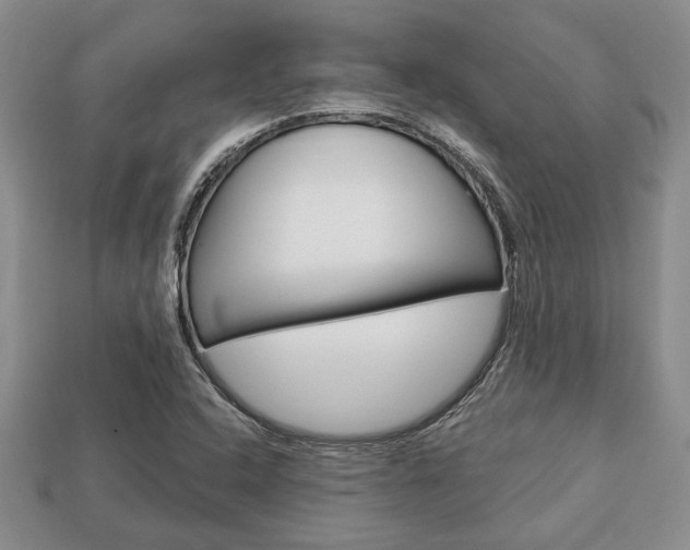 X0000113741408200909230936