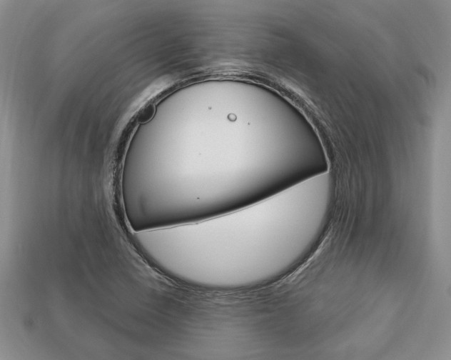 X0000113741410200909230936