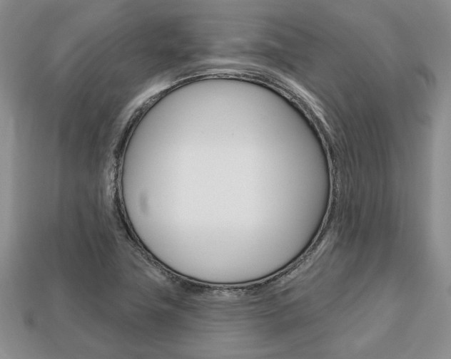 X0000113741411200909230936