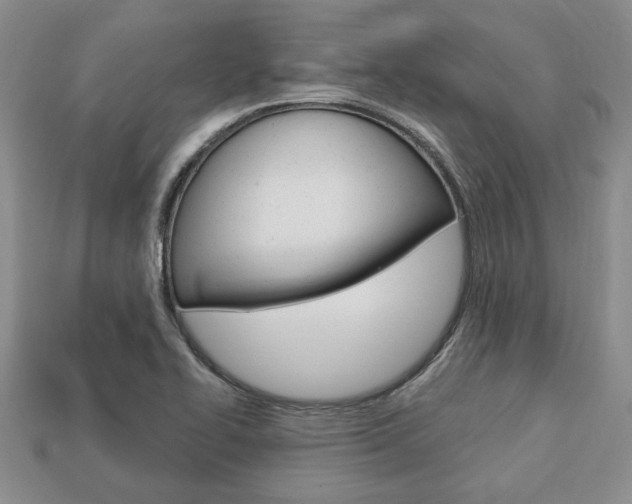 X0000113741414200909230936