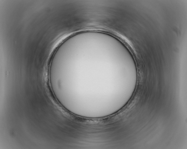 X0000113741415200909230936