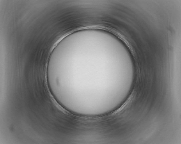 X0000113741417200909230936
