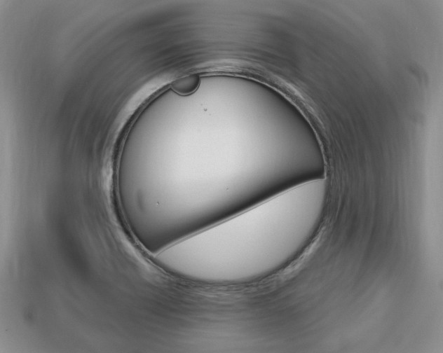 X0000113741418200909230936
