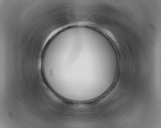 X0000113741420200909230936