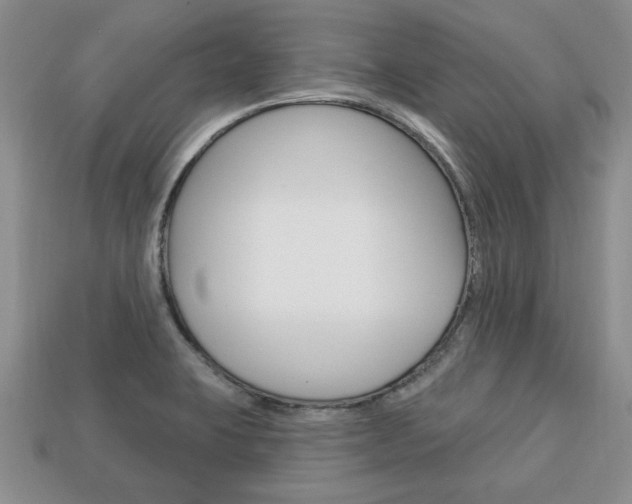 X0000113741423200909230936