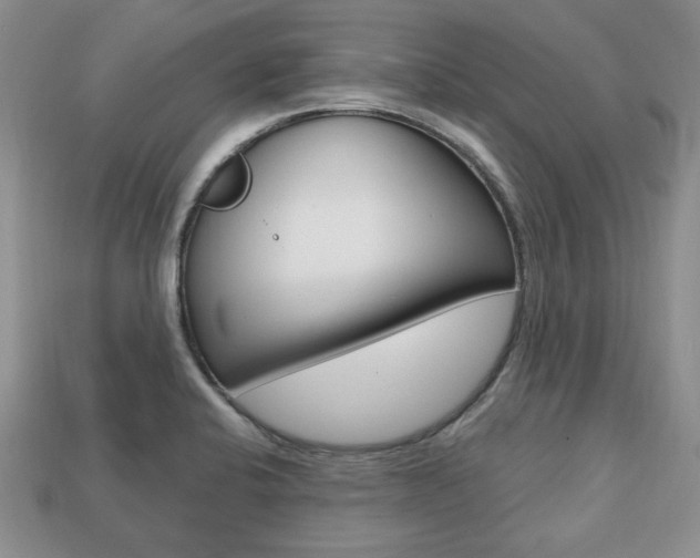 X0000113741424200909230937
