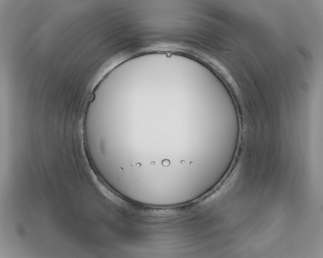 X0000113741425200909230937