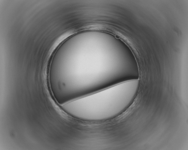 X0000113741426200909230937