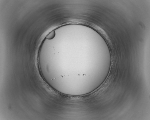X0000113741427200909230937