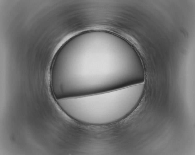 X0000113741428200909230937