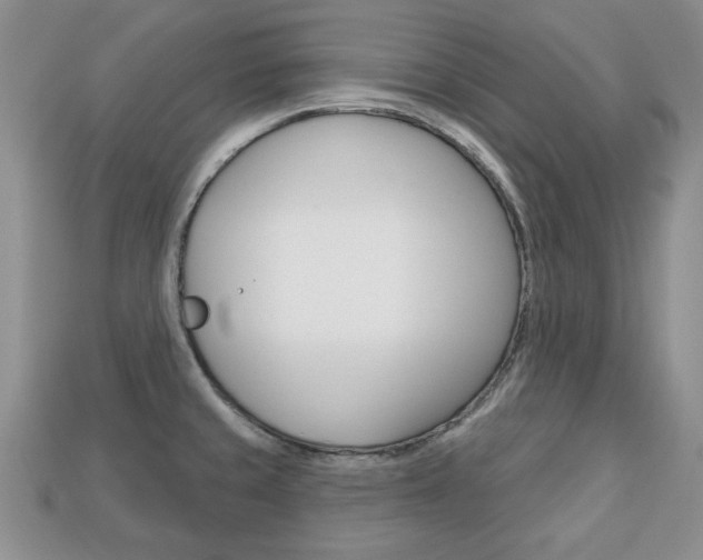 X0000113741429200909230937