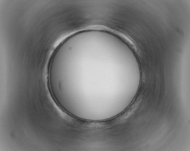 X0000113741430200909230937
