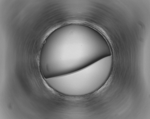 X0000113741433200909230937